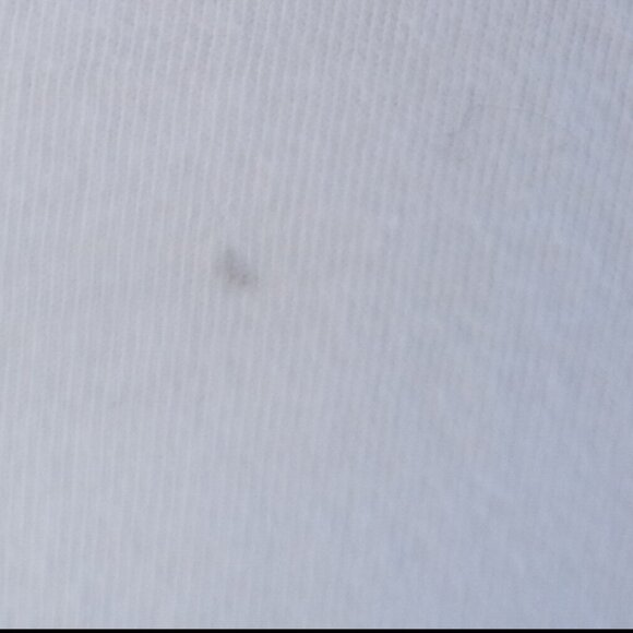 J. Crew Ice Cream Flavors T-Shirt Sz. XL - Picture 2 of 2